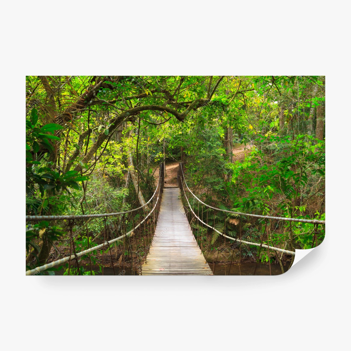 Fototapete hängende holzbrücke im grünen wald – Wallnifity® Fototapete hängende holzbrücke im grünen wald – Wallnifity®