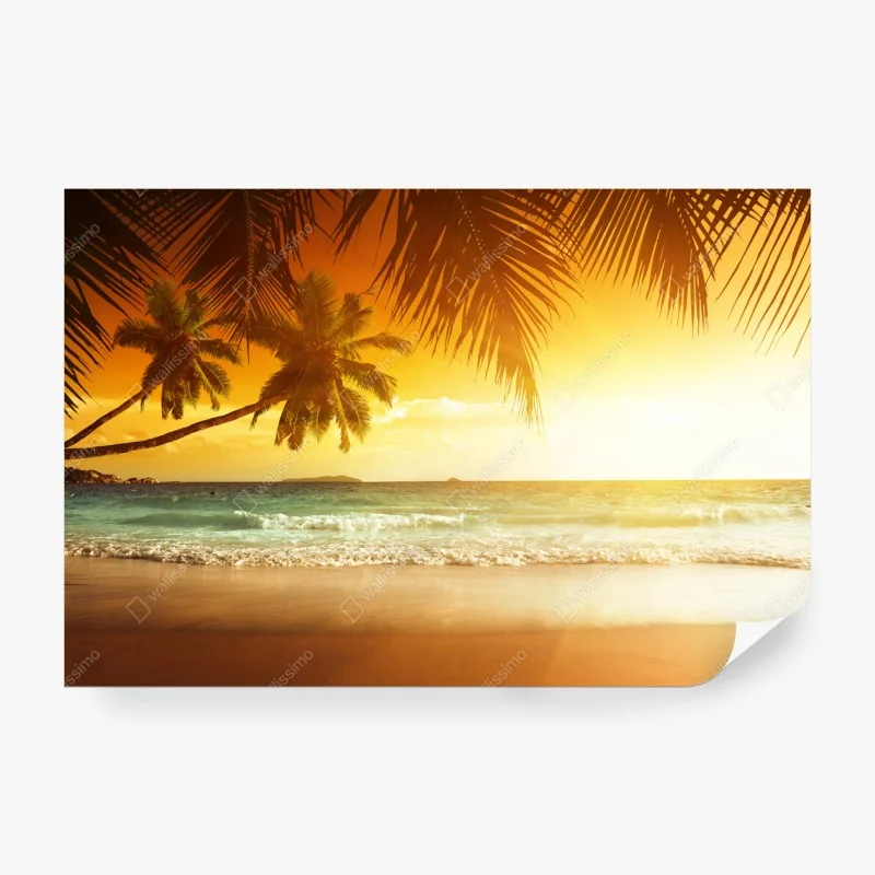 Fototapete nebliger morgen am see Lacu Rosu, Rumänien – Wallnifity®