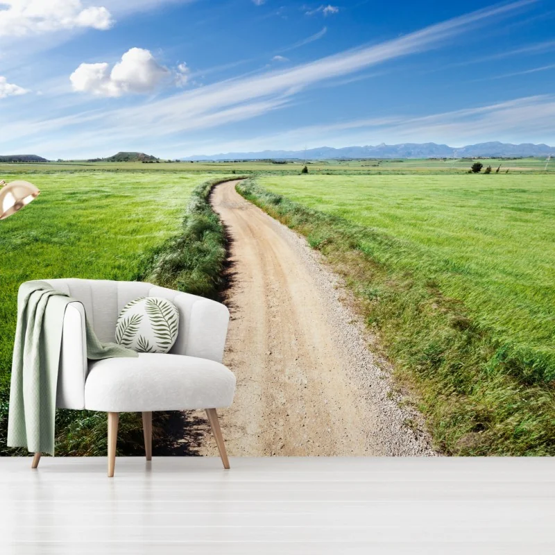 Fototapete gewundener landweg durch grüne wiesen