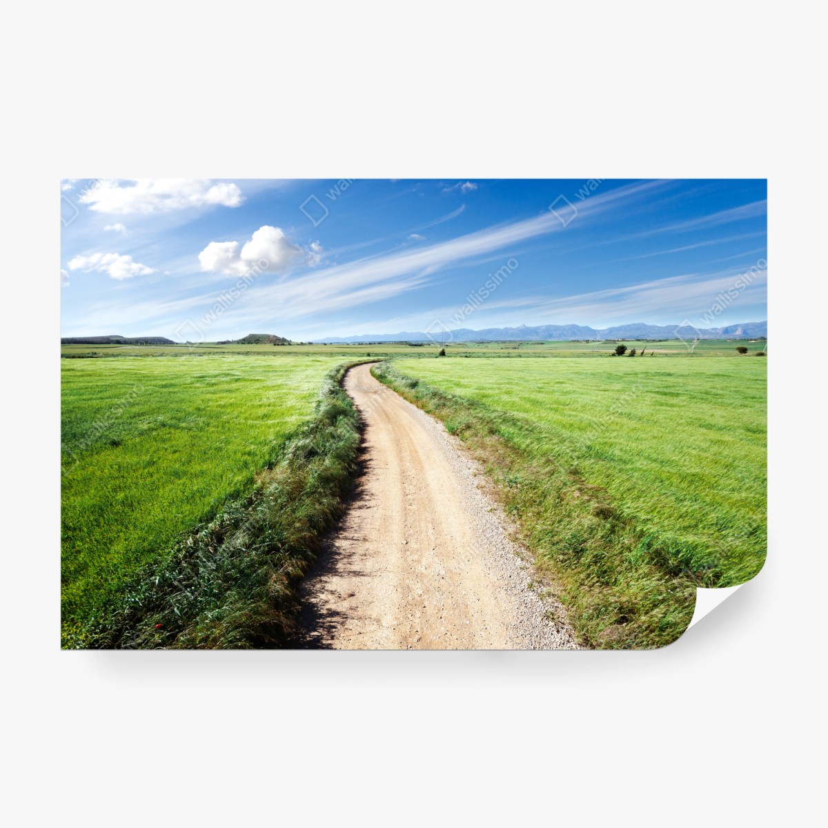 Fototapete gewundener landweg durch grüne wiesen – Wallnifity®