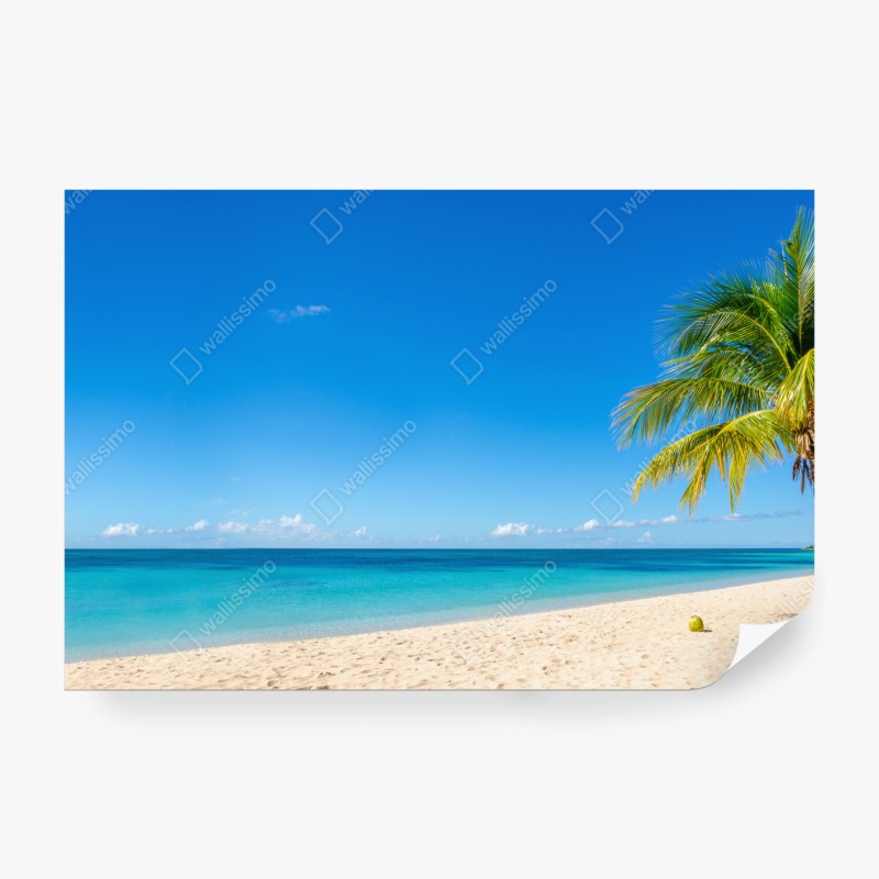 Fototapete palmenstrand in Punta Cana – Wallnifity®