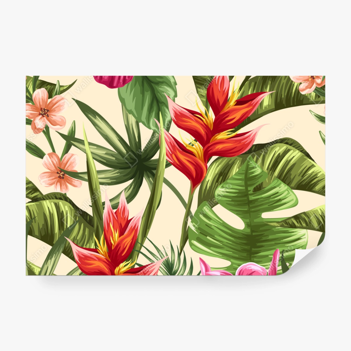 Fototapete tropisches blumenmuster mit hibiskus und plumeria – Wallnifity® Fototapete tropisches blumenmuster mit hibiskus und plumeria – Wallnifity®