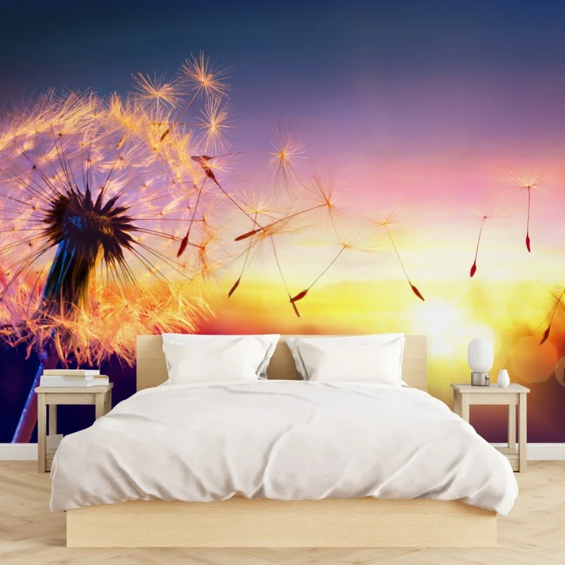 Fototapete goldener löwenzahn bei sonnenuntergang