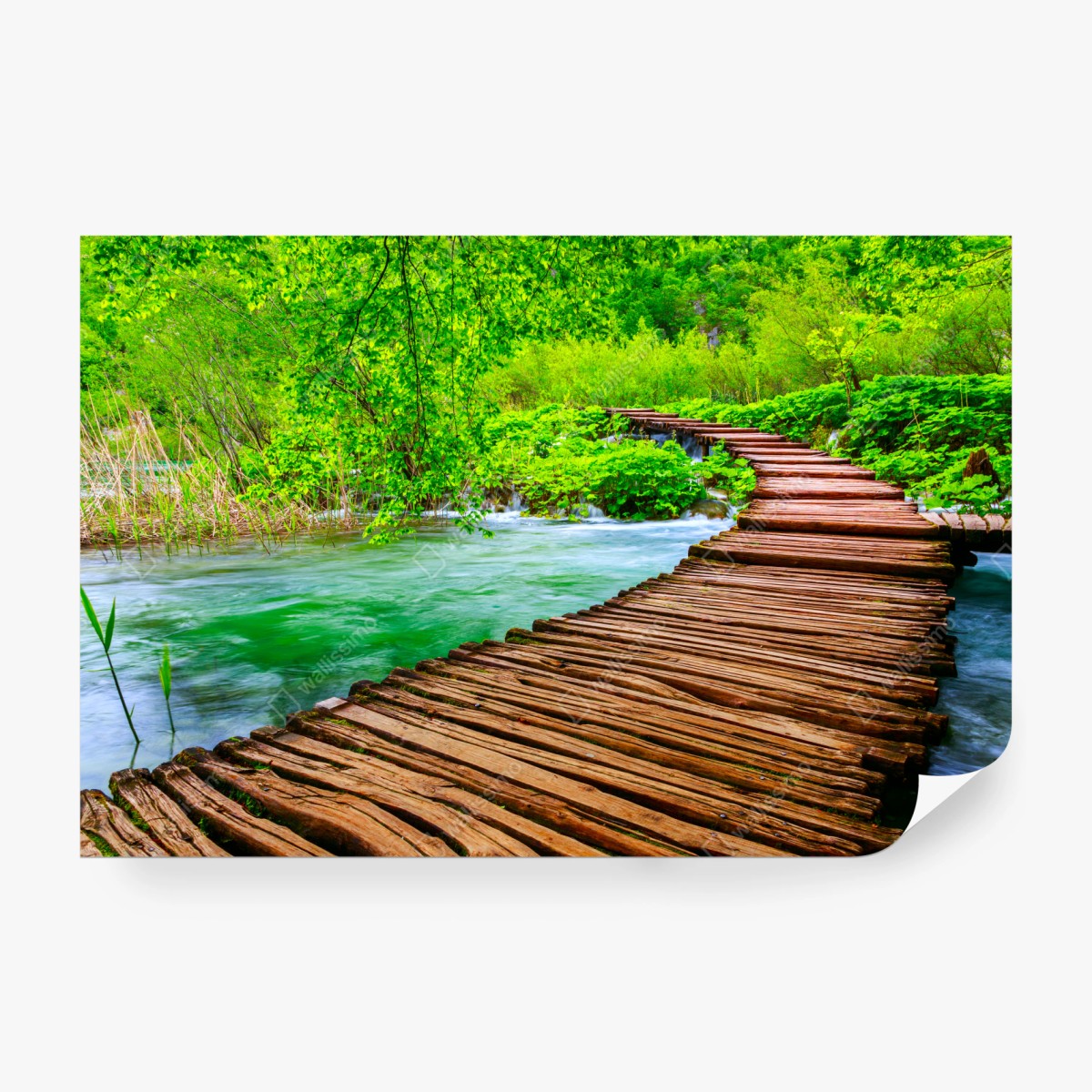 Fototapete ruhiger grüner steg über dem fluss – Wallnifity®