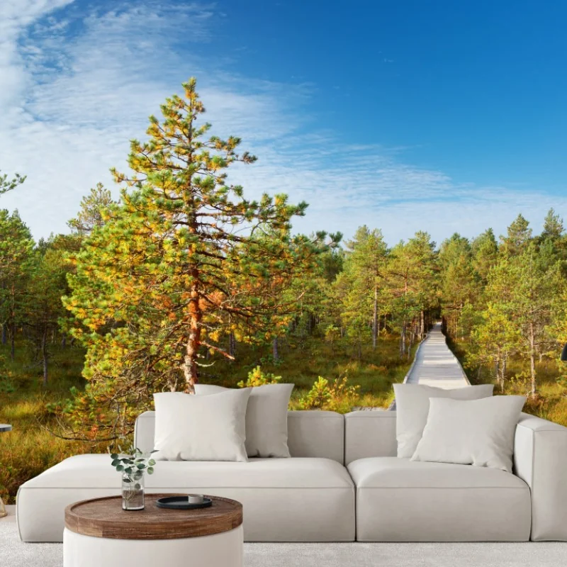 Fototapete sonniger steg durch den kiefernwald