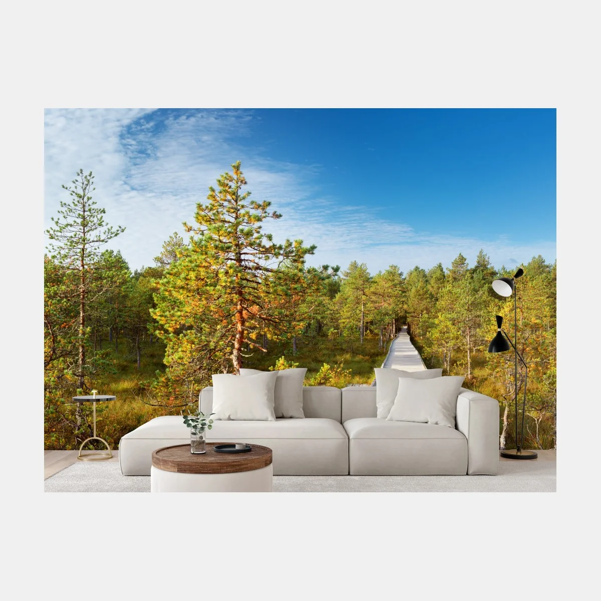 Fototapete sonniger steg durch den kiefernwald – Wallnifity®