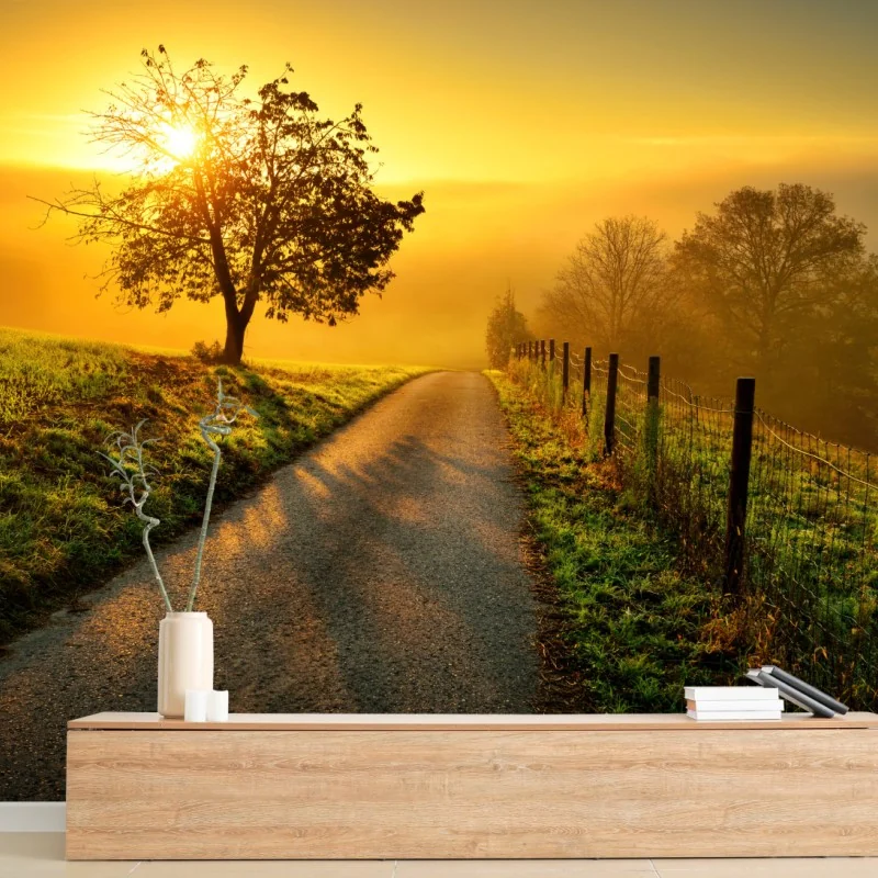 Fototapete sonnenbeschienener landweg durch die morgenwiese