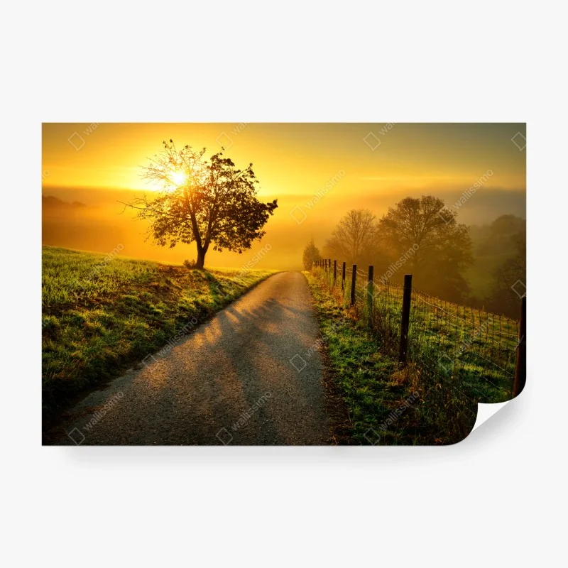 Fototapete tropisches ananasmuster auf gelbem hintergrund – Wallnifity®