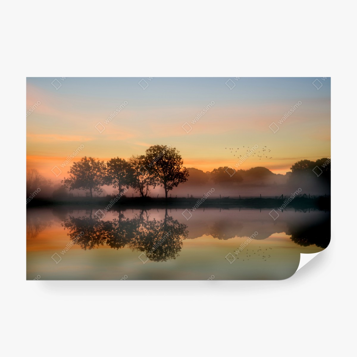 Fototapete nebliger herbstlicher sonnenaufgang über Englischer landschaft – Wallnifity® Fototapete nebliger herbstlicher sonnenaufgang über Englischer landschaft – Wallnifity®