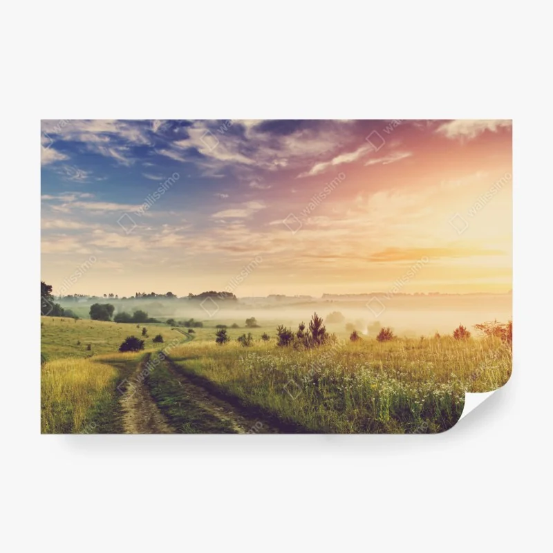 Fototapete nebeliger sonnenaufgang über einer ländlichen wiese