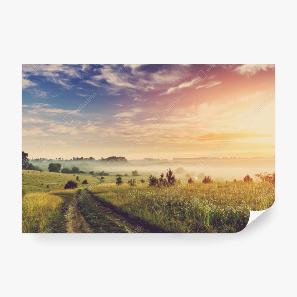 Fototapete nebeliger sonnenaufgang über einer ländlichen wiese – Wallnifity®