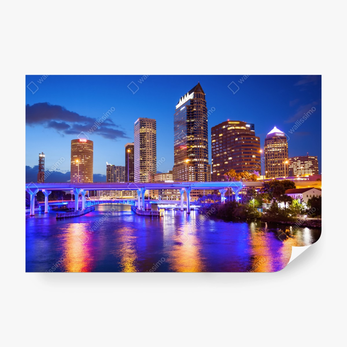 Fototapete Tampa skyline bei nacht – Wallnifity®