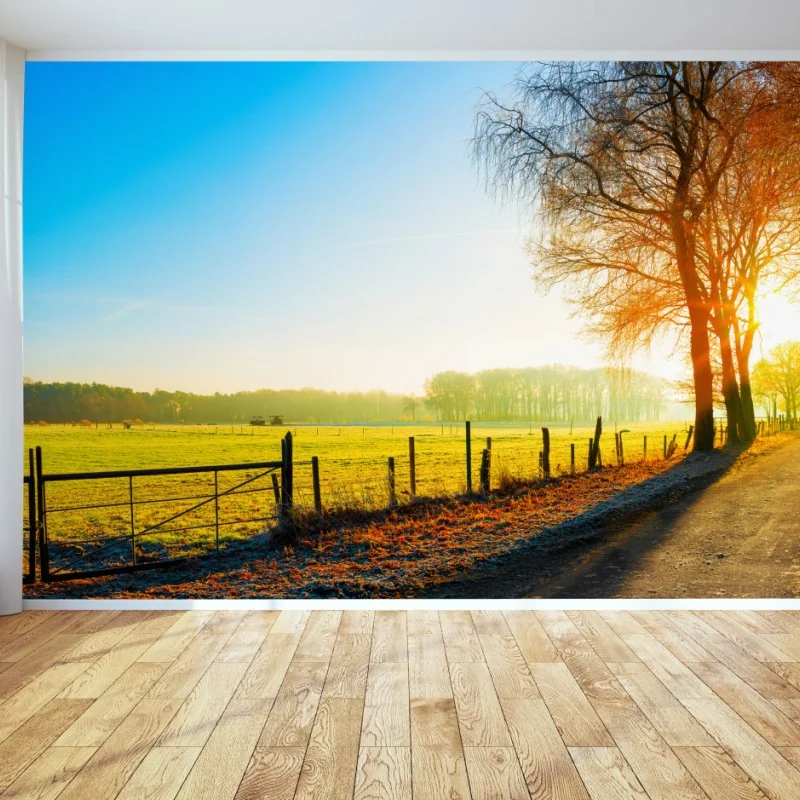 Fototapete sonnenbeschienener landweg durch herbstliche wiese