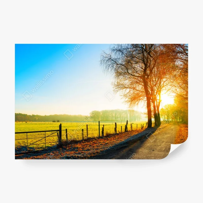 Fototapete sonnenbeschienener landweg durch herbstliche wiese