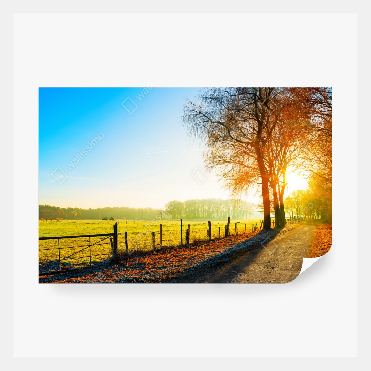 Fototapete sonnenbeschienener landweg durch herbstliche wiese – Wallnifity® Fototapete sonnenbeschienener landweg durch herbstliche wiese – Wallnifity®