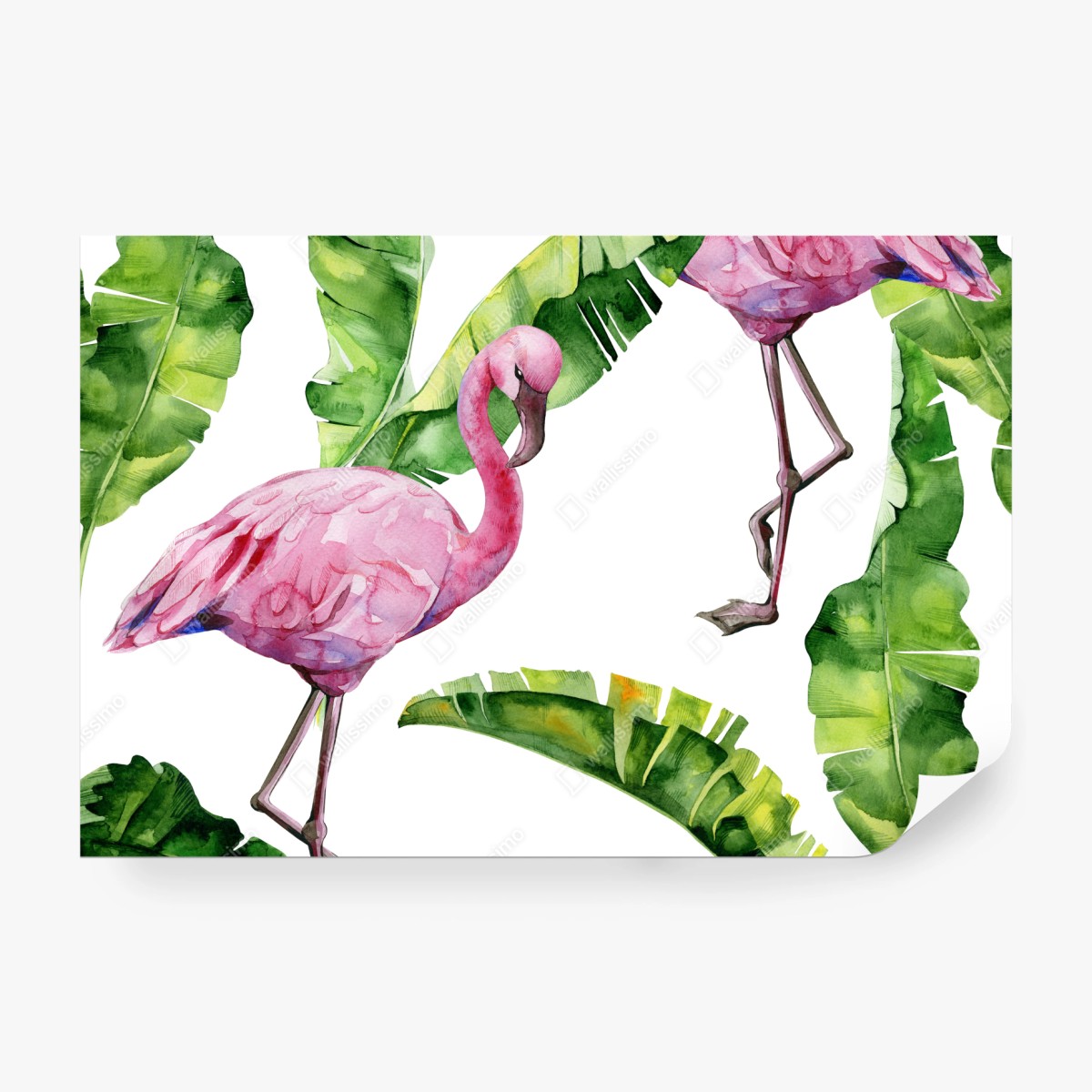 Fototapete rosa flamingo aquarellmuster – Wallnifity® Fototapete rosa flamingo aquarellmuster – Wallnifity®