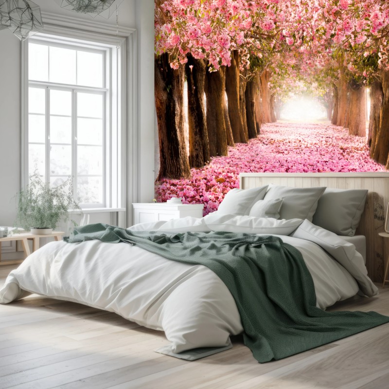 Fototapete rosa blütenallee unter kirschbäumen