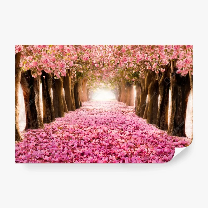 Fototapete tropischer sonnenuntergang mit palmen – Wallnifity®