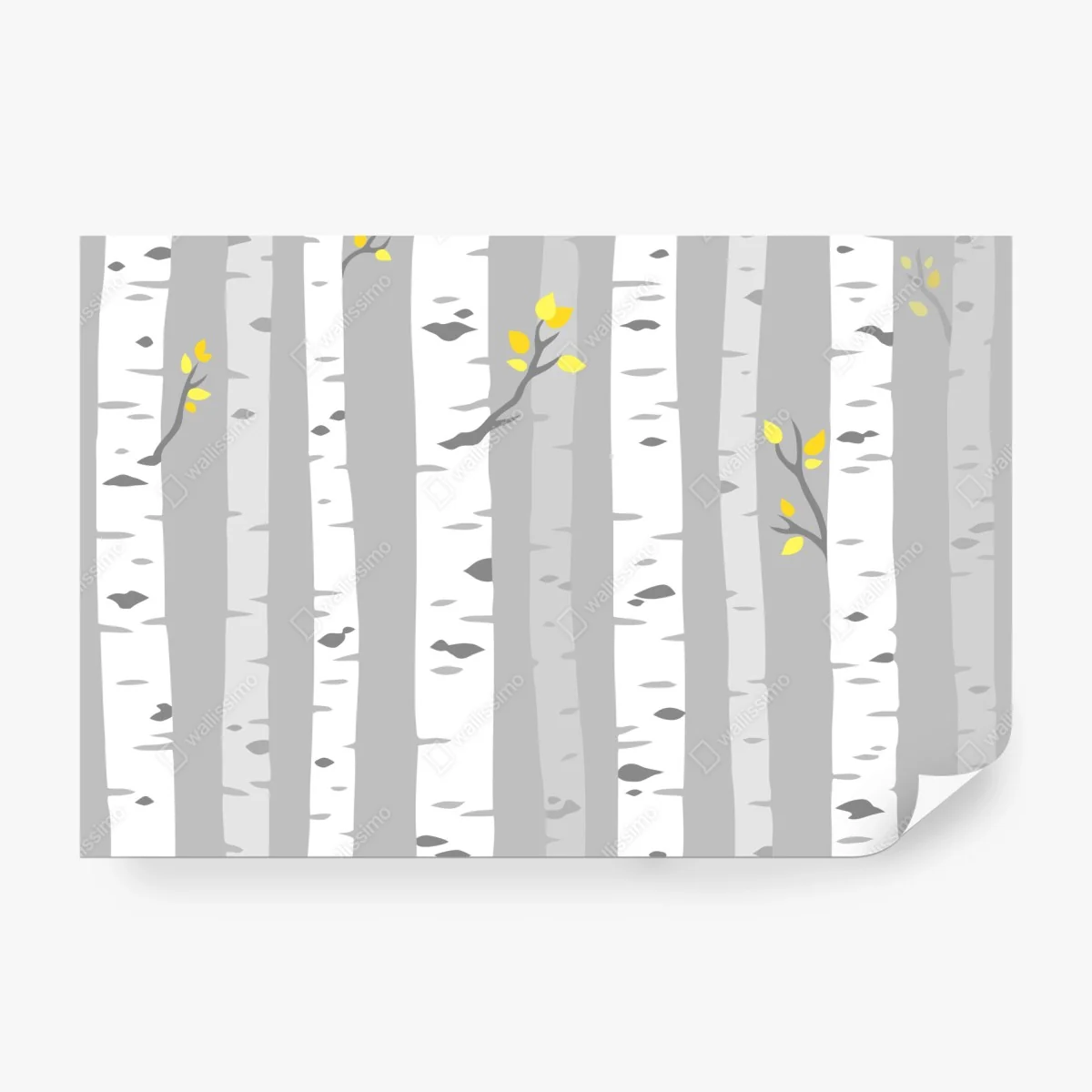 Fototapete skandinavischer birkenwald – Wallnifity®