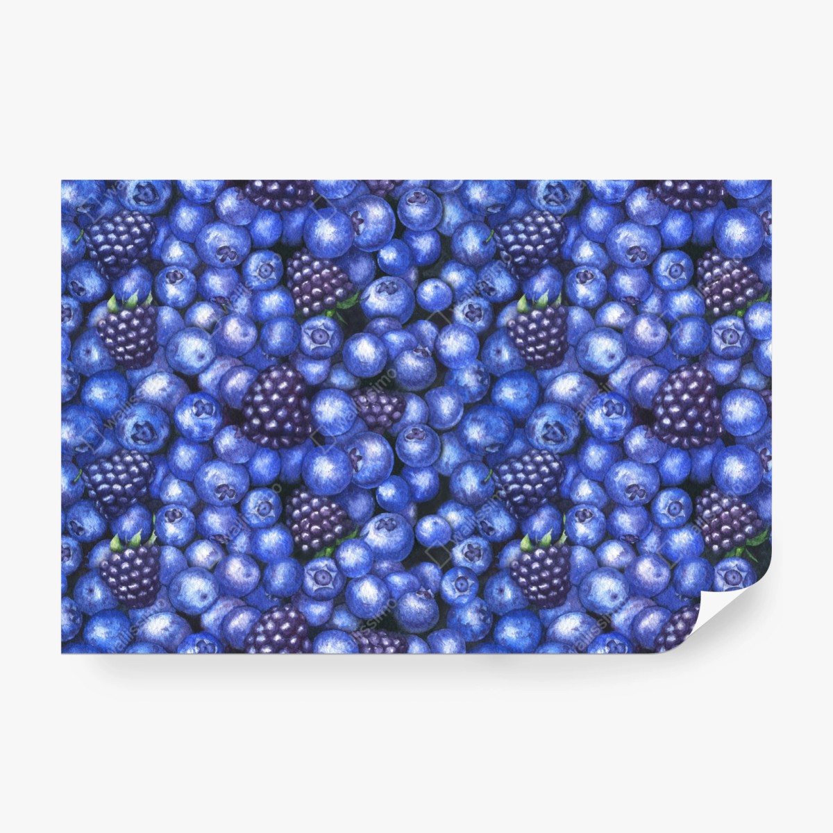 Fototapete aquarellmuster mit blaubeeren und brombeeren – Wallnifity®