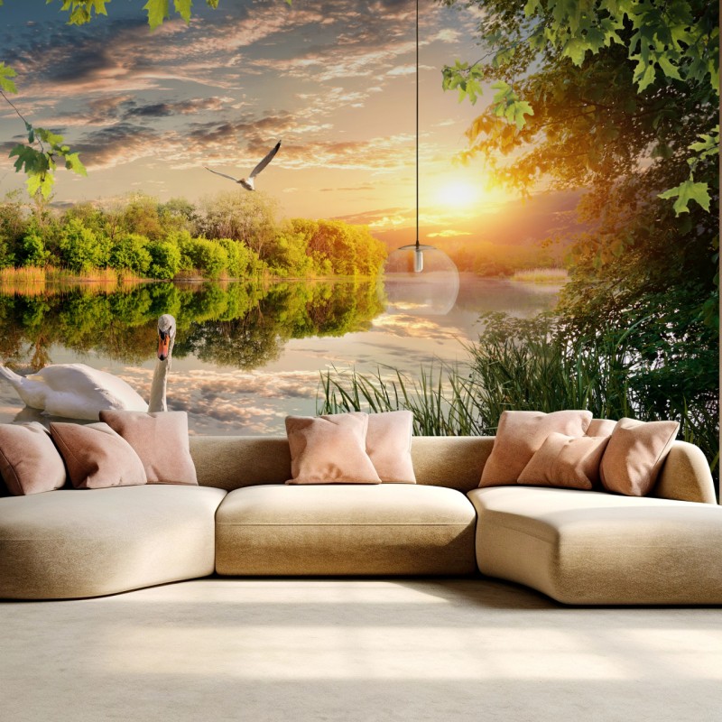 Fototapete sonnenuntergang mit schwan auf stillem see