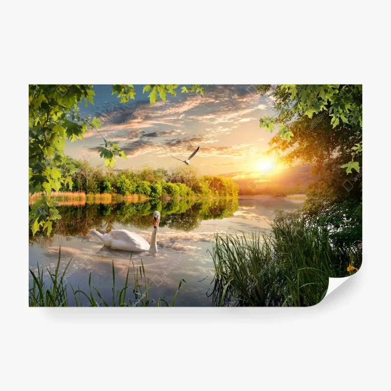 Fototapete sonnenuntergang mit schwan auf stillem see