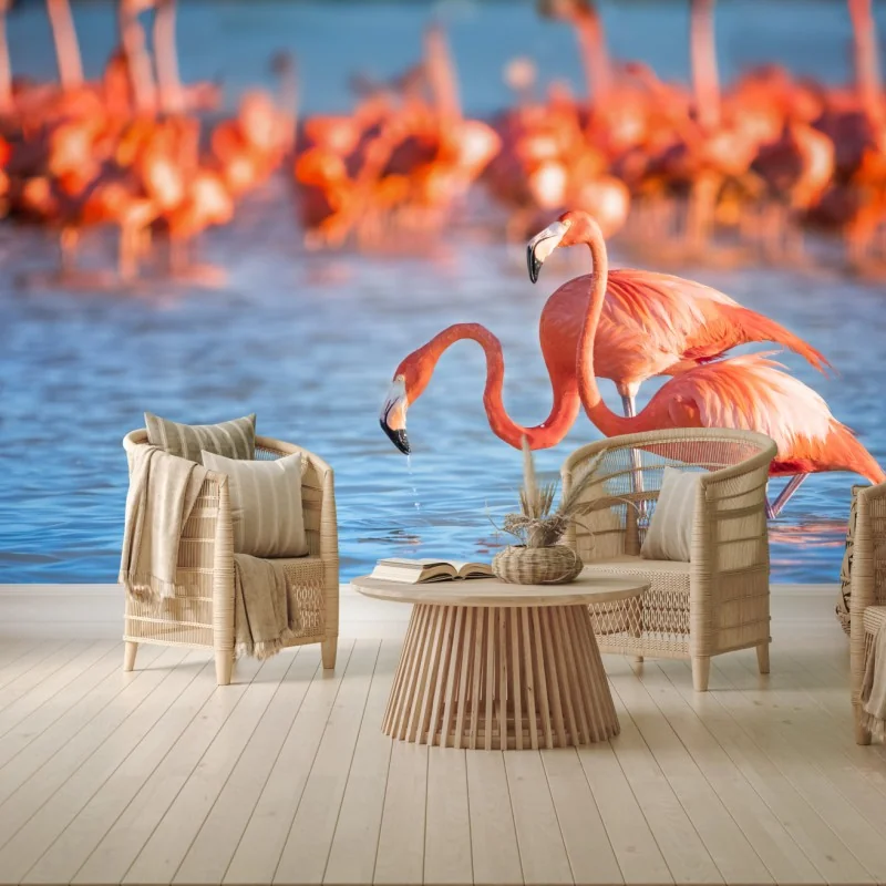 Fototapete anmutige flamingos im flachen wasser