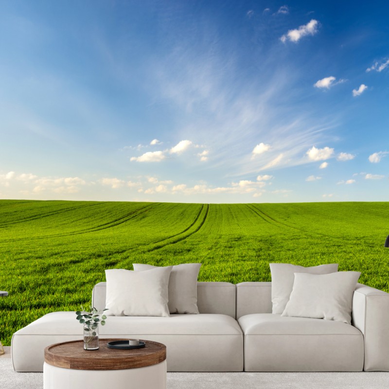 Fototapete frühlingsgrüne wiesenpanorama – Wallnifity® Fototapete frühlingsgrüne wiesenpanorama – Wallnifity®
