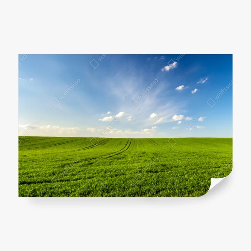 Fototapete goldenes geometrisches weizenmuster – Wallnifity®