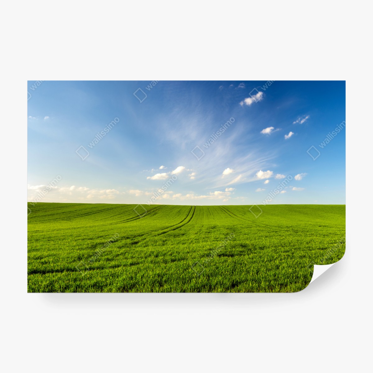 Fototapete frühlingsgrüne wiesenpanorama – Wallnifity® Fototapete frühlingsgrüne wiesenpanorama – Wallnifity®