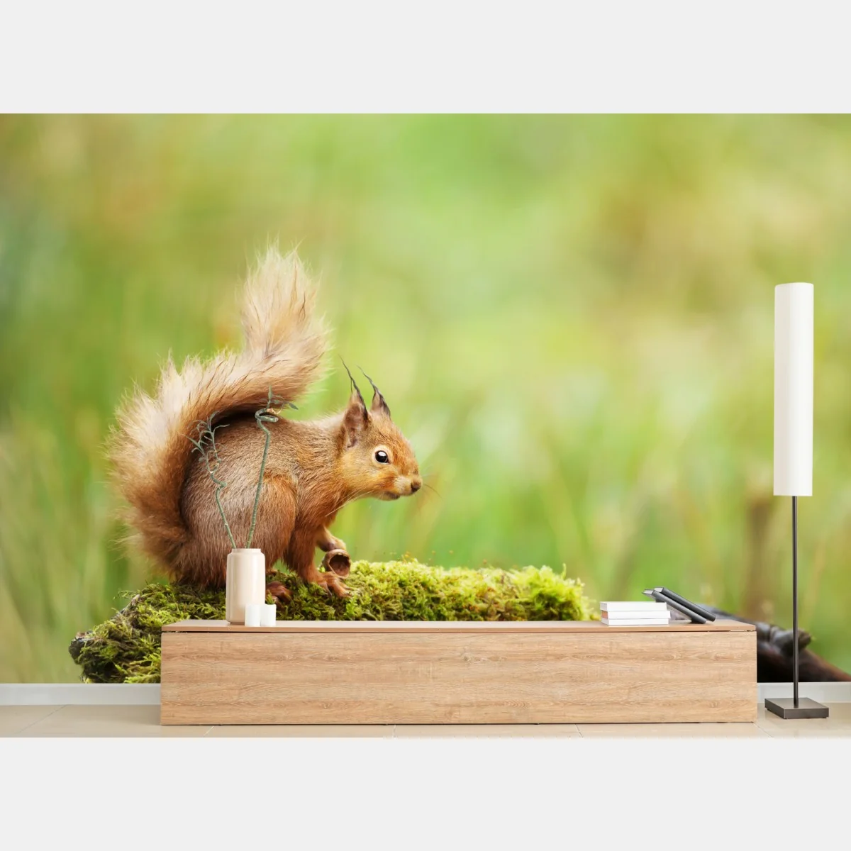 Fototapete rotes eichhörnchen auf moosigem stamm – Wallnifity®