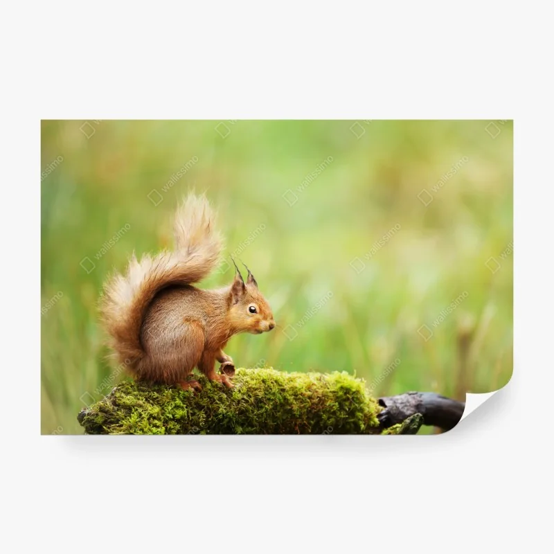 Fototapete tropisches botanisches blättermuster – Wallnifity®