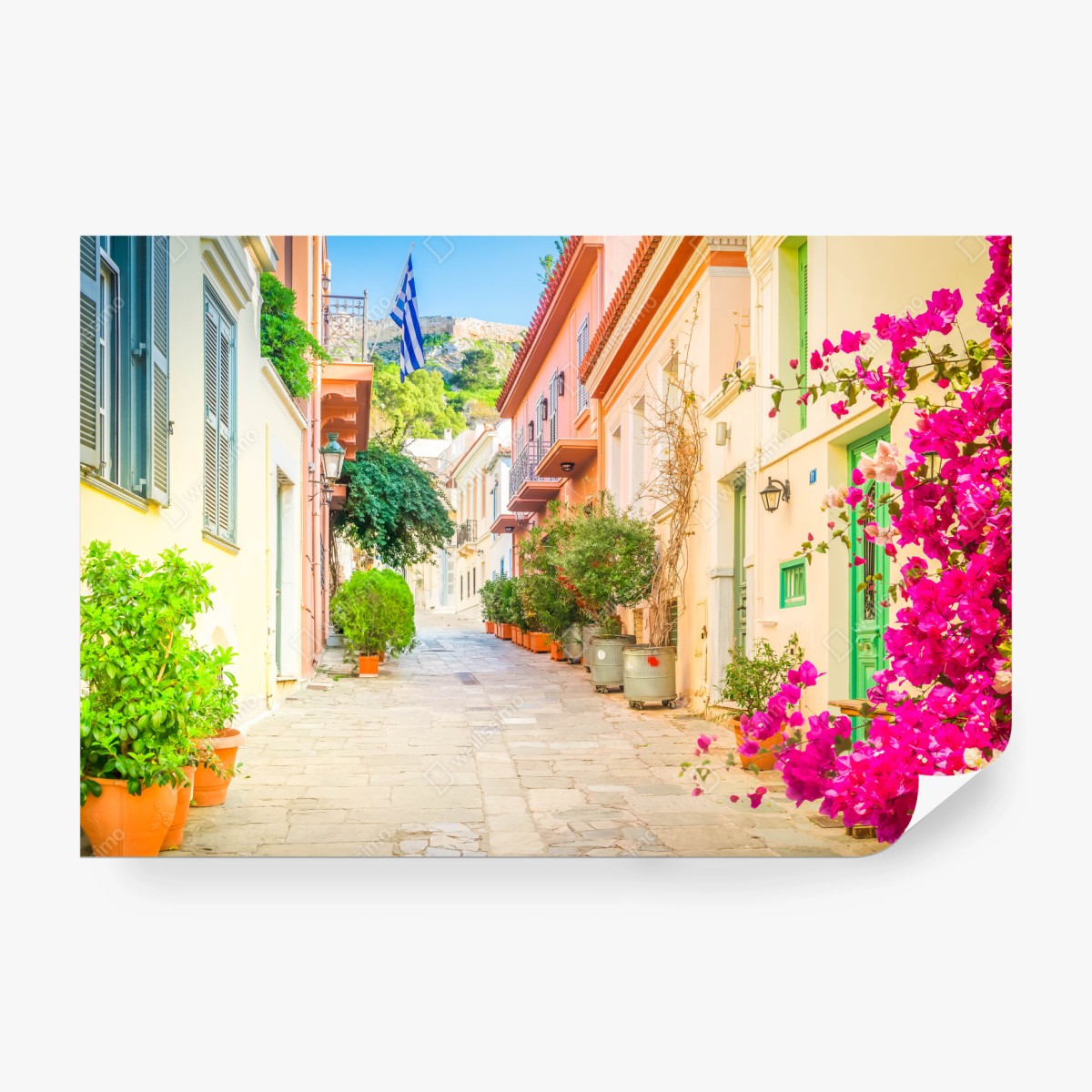 Fototapete sonnige griechische gasse mit bougainvillea – Wallnifity® Fototapete sonnige griechische gasse mit bougainvillea – Wallnifity®