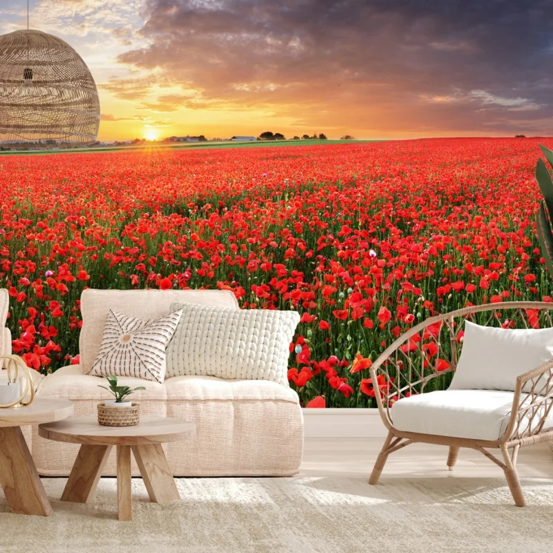 Fototapete mohnfeld im sonnenuntergang