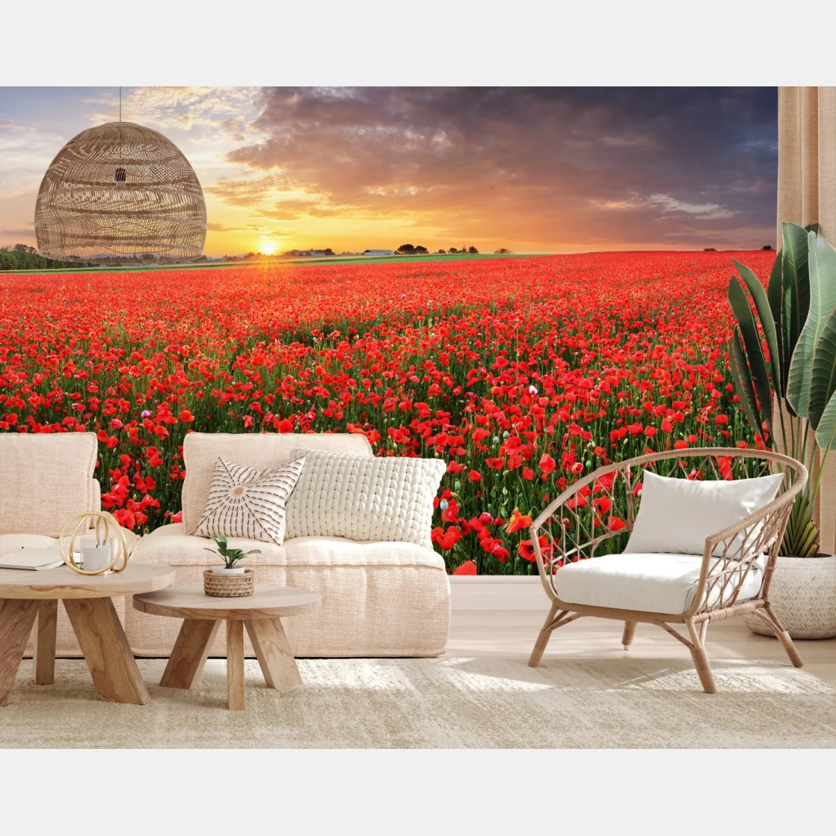 Fototapete mohnfeld im sonnenuntergang – Wallnifity® Fototapete mohnfeld im sonnenuntergang – Wallnifity®
