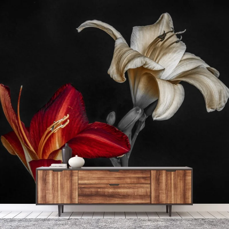 Fototapete dramatische rote und cremefarbene lilien auf schwarzem hintergrund – Wallnifity®
