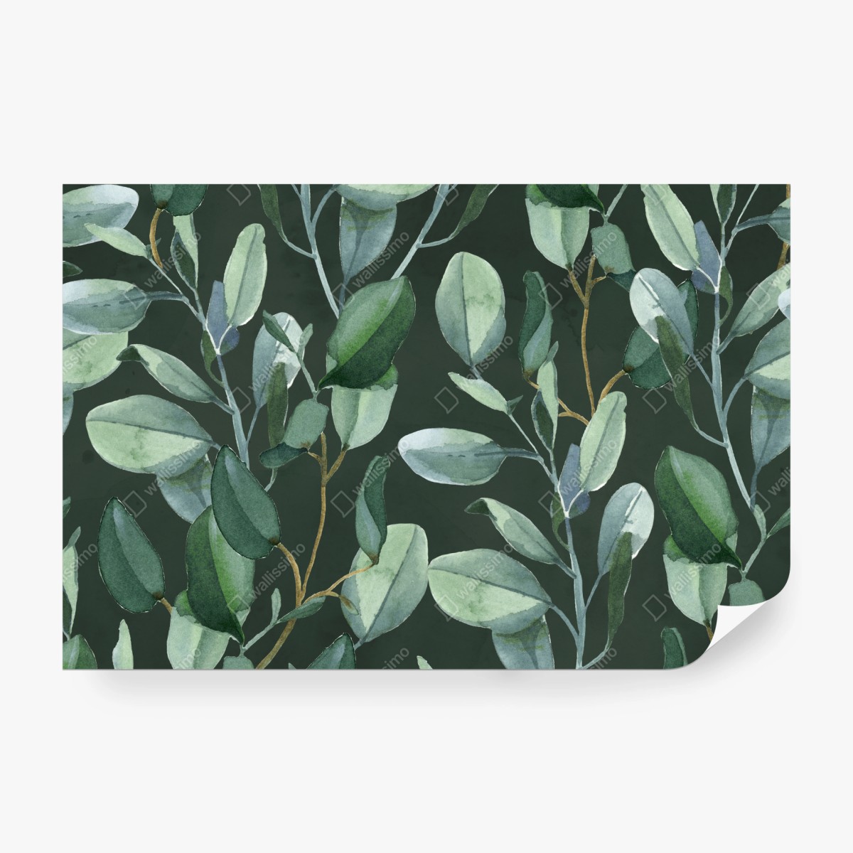 Fototapete aquarell eukalyptusblätter muster auf dunkelgrünem hintergrund – Wallnifity®