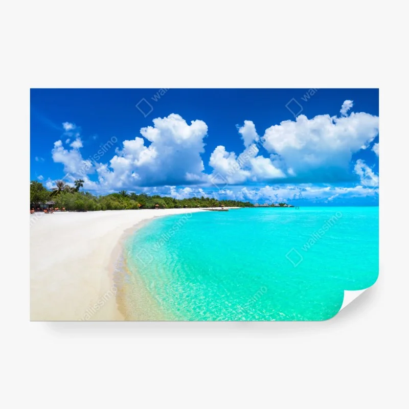 Fototapete elegante Eiffelturm luftaufnahme in graustufen – Wallnifity®