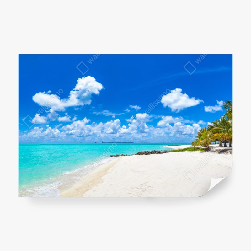 Fototapete leuchtende nahaufnahme sonnenblume – Wallnifity®