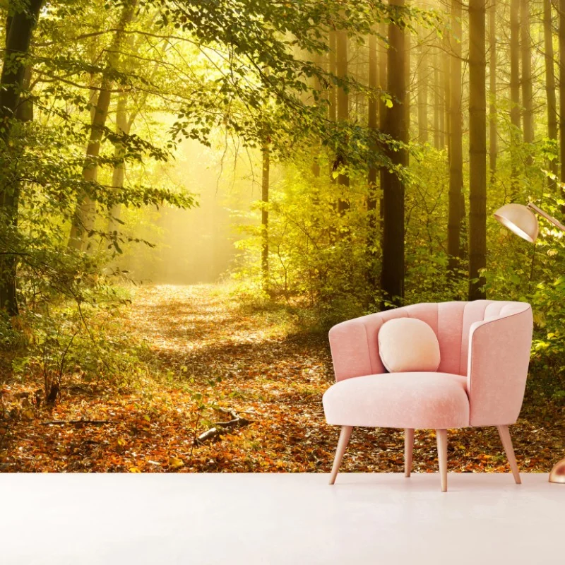 Fototapete sonnenbeschienener waldweg im herbst