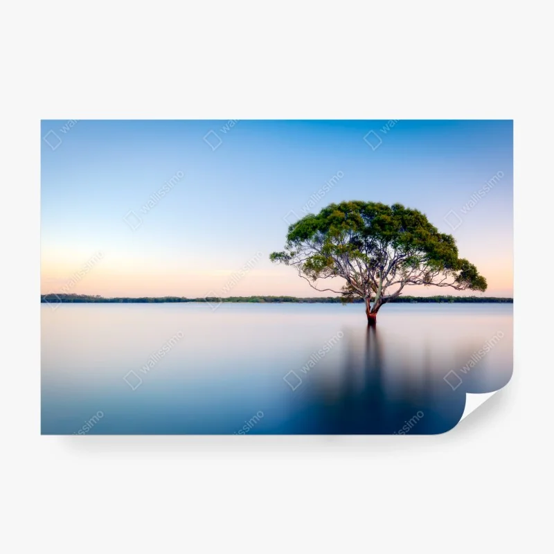 Fototapete buntes burger-muster mit zutaten – Wallnifity®