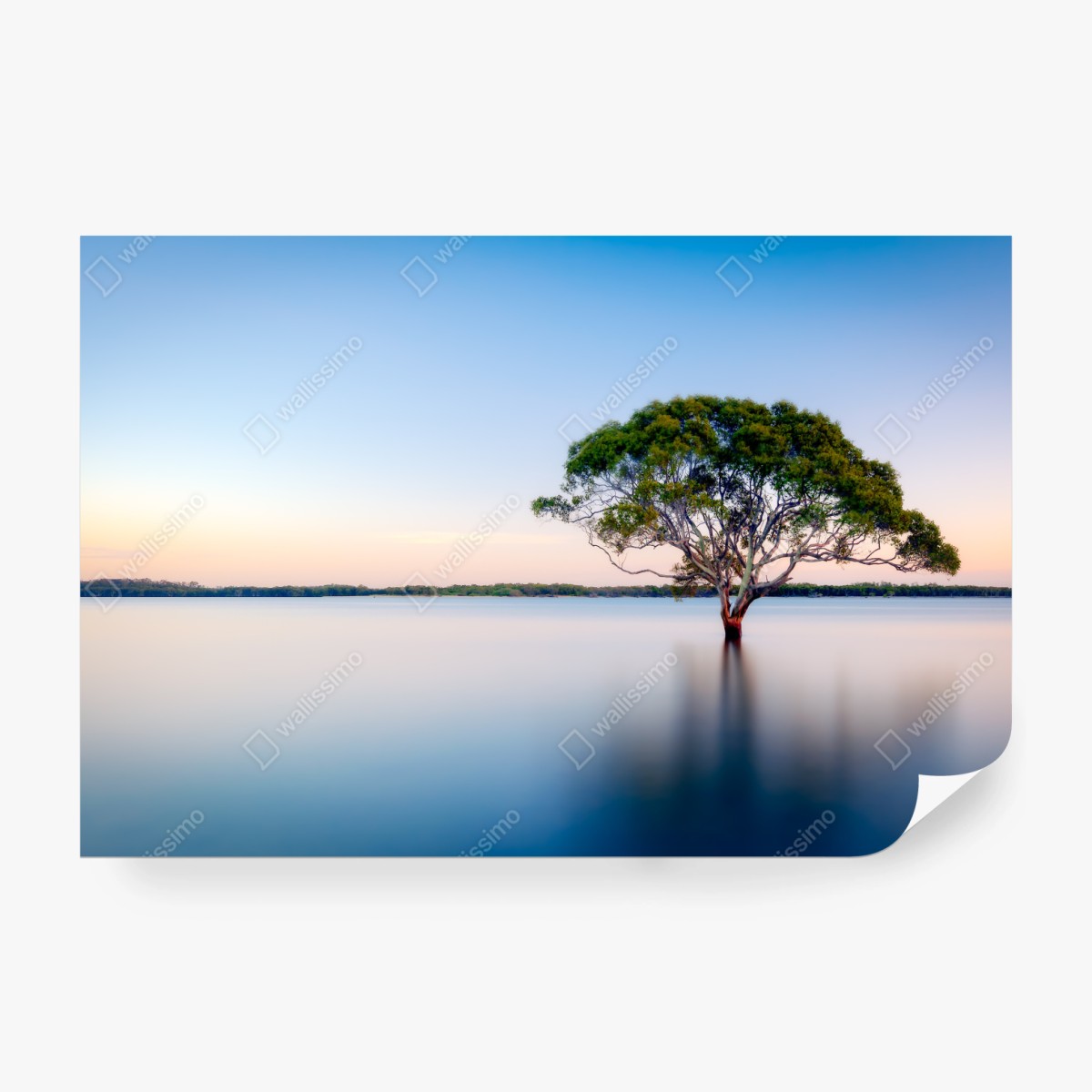 Fototapete einsamer baum am stillen see – Wallnifity® Fototapete einsamer baum am stillen see – Wallnifity®