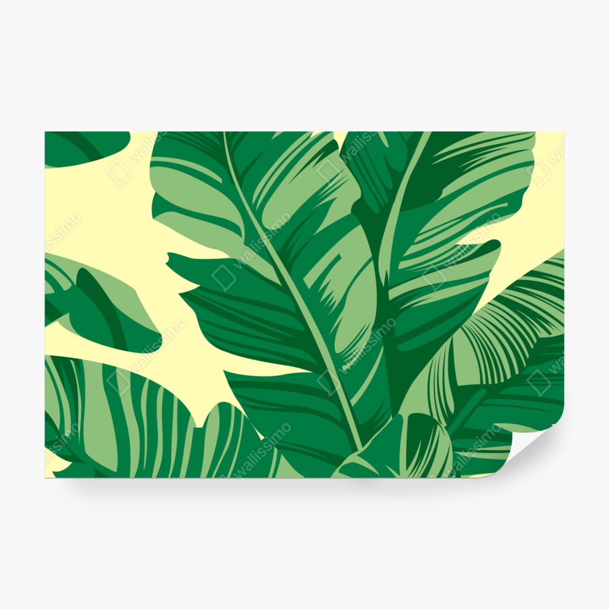 Fototapete tropisches muster mit bananenblättern – Wallnifity® Fototapete tropisches muster mit bananenblättern – Wallnifity®