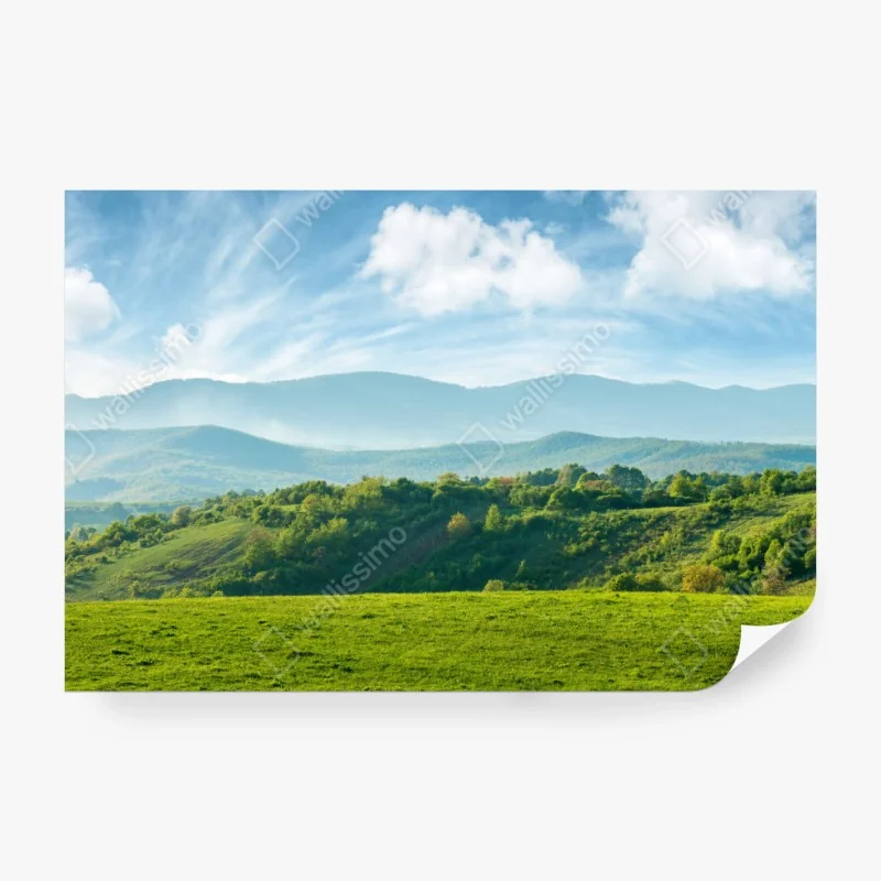 Fototapete frühlingspanorama rumänische berge