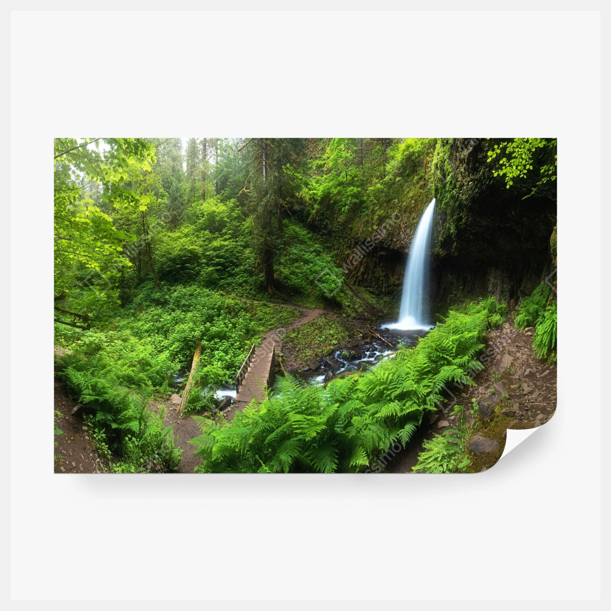 Fototapete üppiger waldwasserfall panorama – Wallnifity® Fototapete üppiger waldwasserfall panorama – Wallnifity®