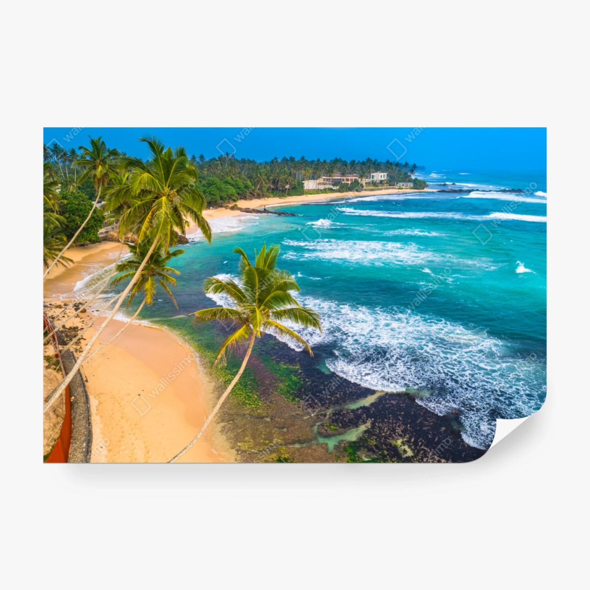 Fototapete türkisfarbene tropische küste mit palmen – Wallnifity® Fototapete türkisfarbene tropische küste mit palmen – Wallnifity®