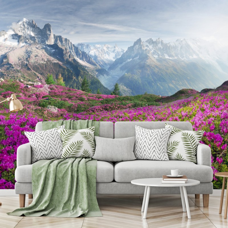 Fototapete alpine rhododendronwiese bei Mont Blanc – Wallnifity®