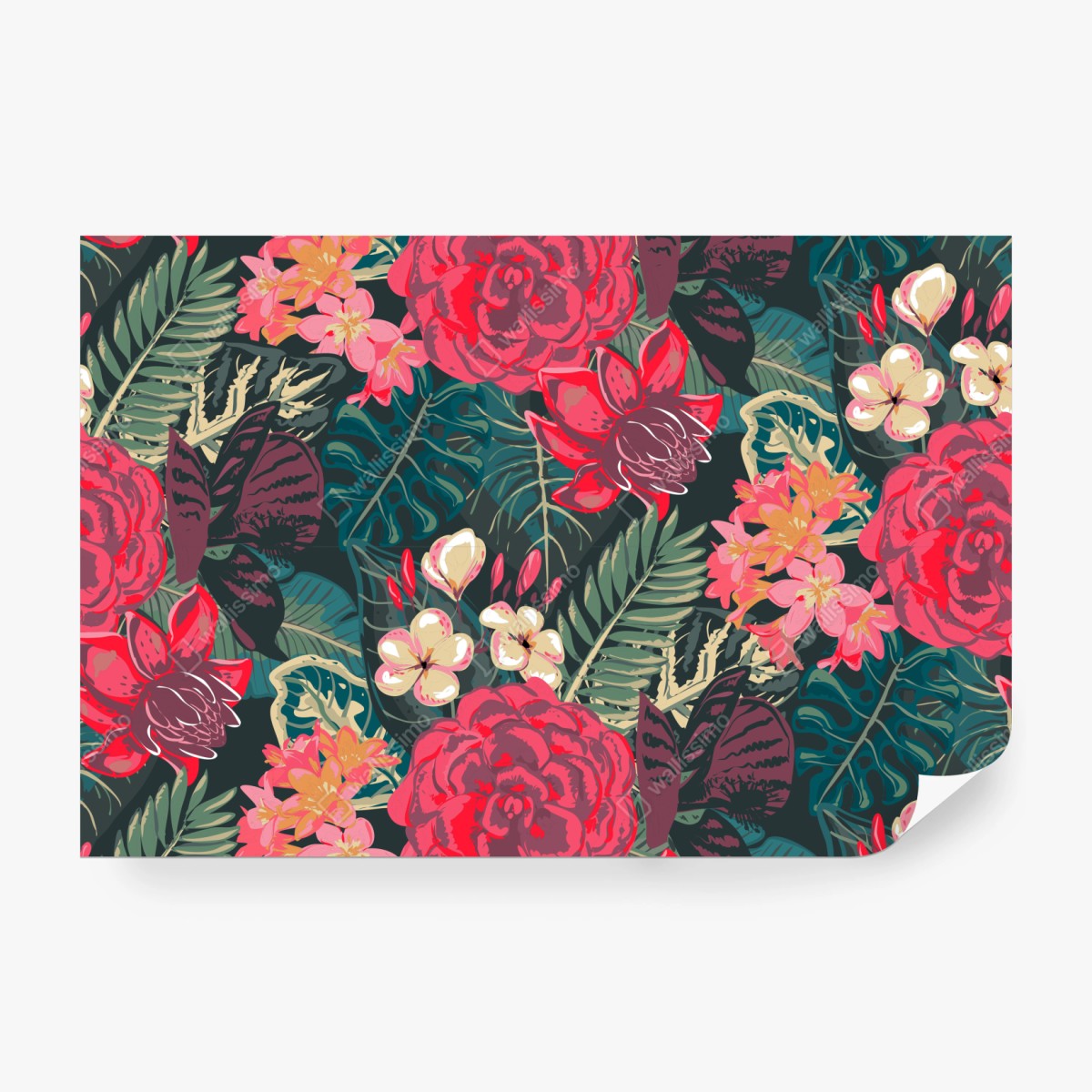 Fototapete tropisches blumenmuster in rosa und türkis – Wallnifity® Fototapete tropisches blumenmuster in rosa und türkis – Wallnifity®