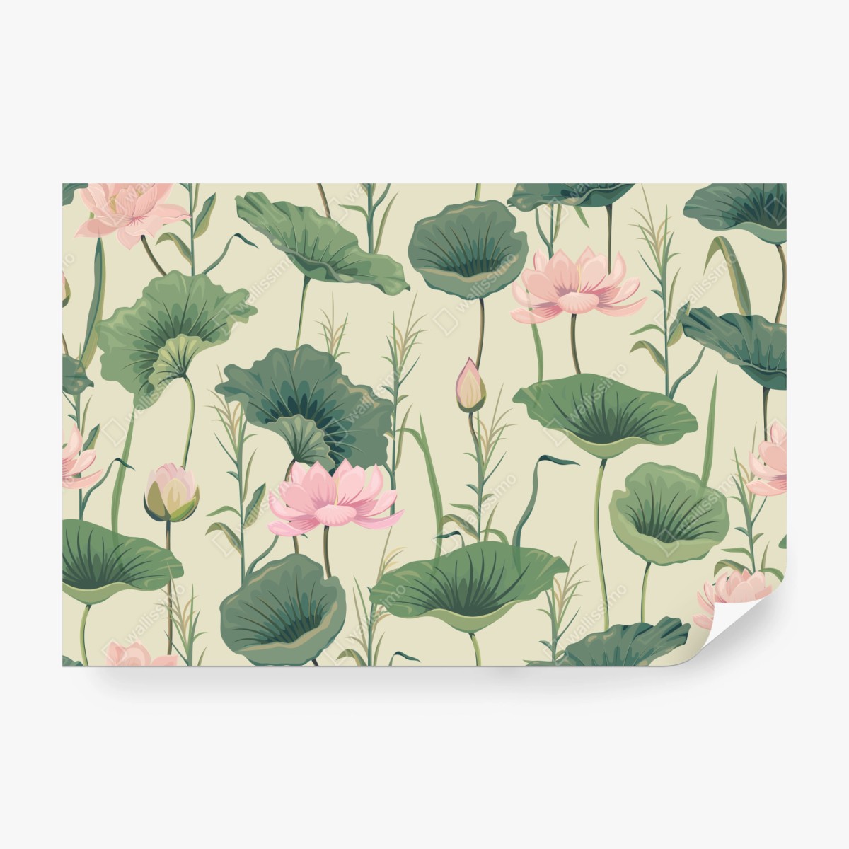Fototapete sanfter lotusgarten botanisches muster – Wallnifity® Fototapete sanfter lotusgarten botanisches muster – Wallnifity®