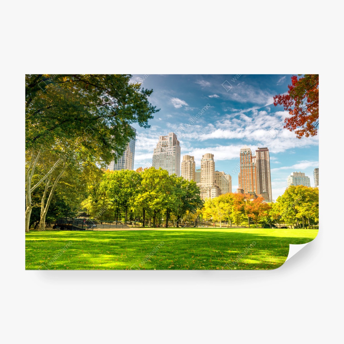 Fototapete Central Park herbst panorama – Wallnifity® Fototapete Central Park herbst panorama – Wallnifity®